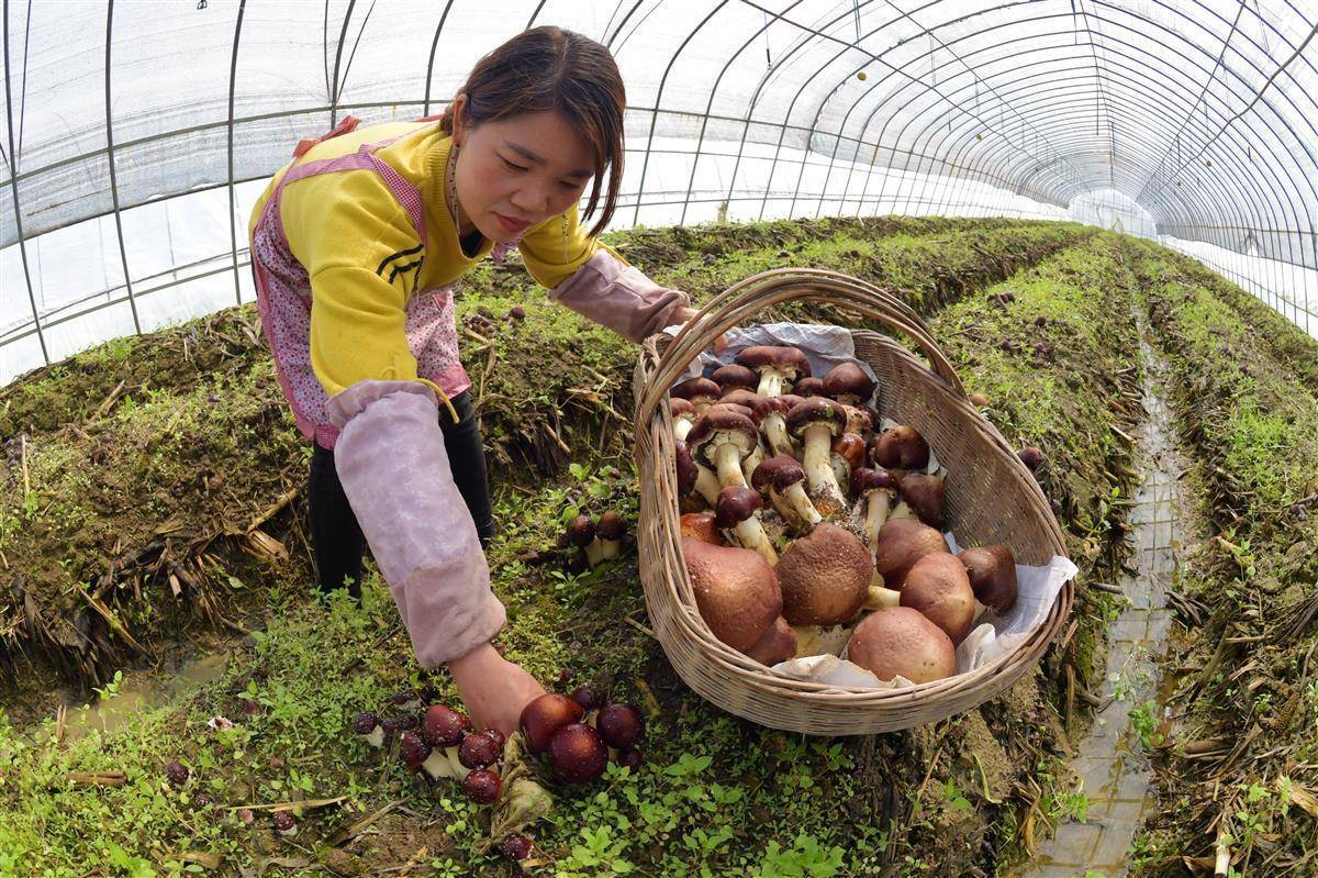 美高梅游戏网